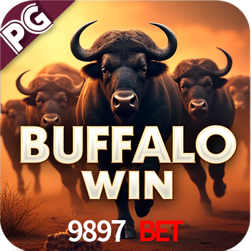 A Experiência Imersiva dos Cassinos Ao Vivo no 9897 Bet